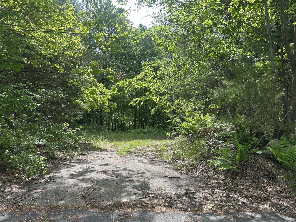 0 Bullard Rd, Oakham, Massachusetts, ,Land,For Sale,Bullard Rd,73382723