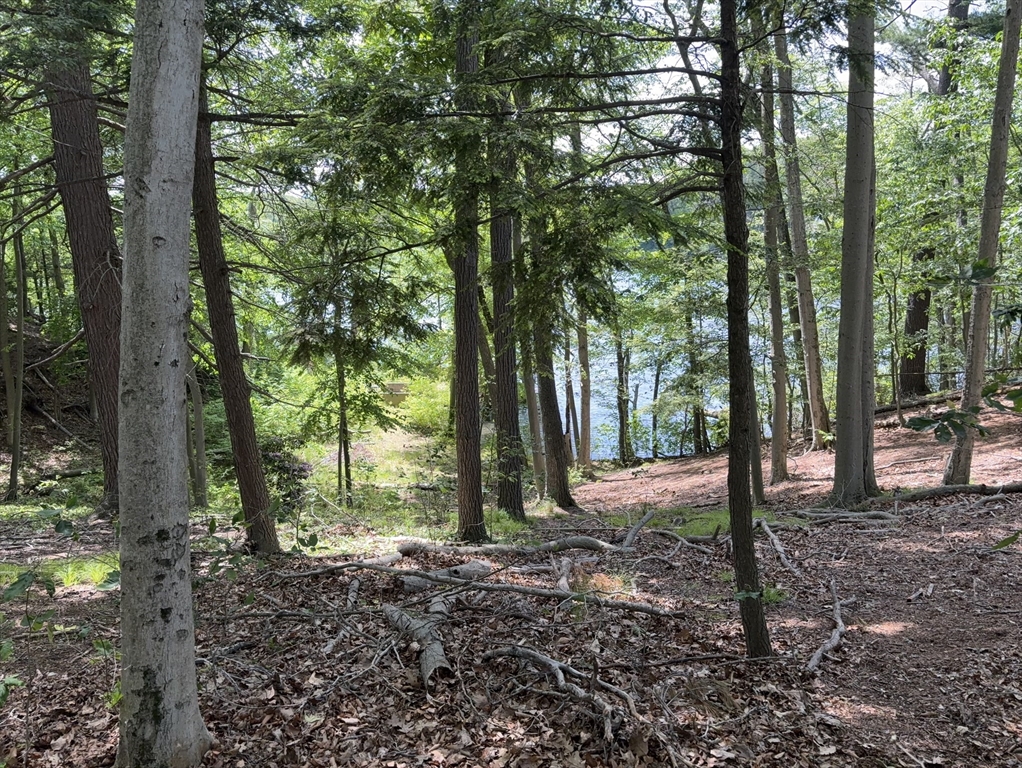 123 Dudley Rd, Wayland, Massachusetts, ,Land,For Sale,Dudley Rd,73382937