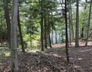 Land