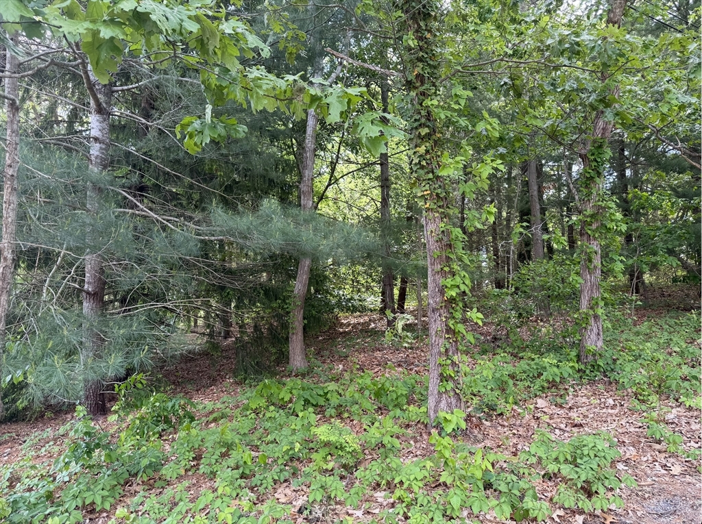 17 Fairmount Road, Dennis, Massachusetts, ,Land,For Sale,Fairmount Road,73383069