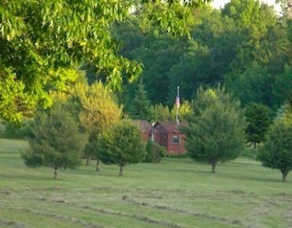 Land