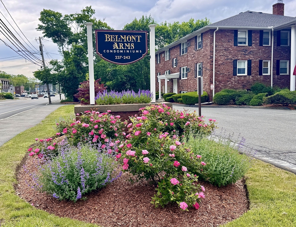 239 Main St, Reading, Massachusetts, 1 Bedroom Bedrooms, 4 Rooms Rooms,1 BathroomBathrooms,Residential Lease,For Rent,Main St,73383178