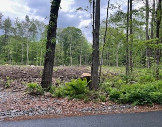 Land