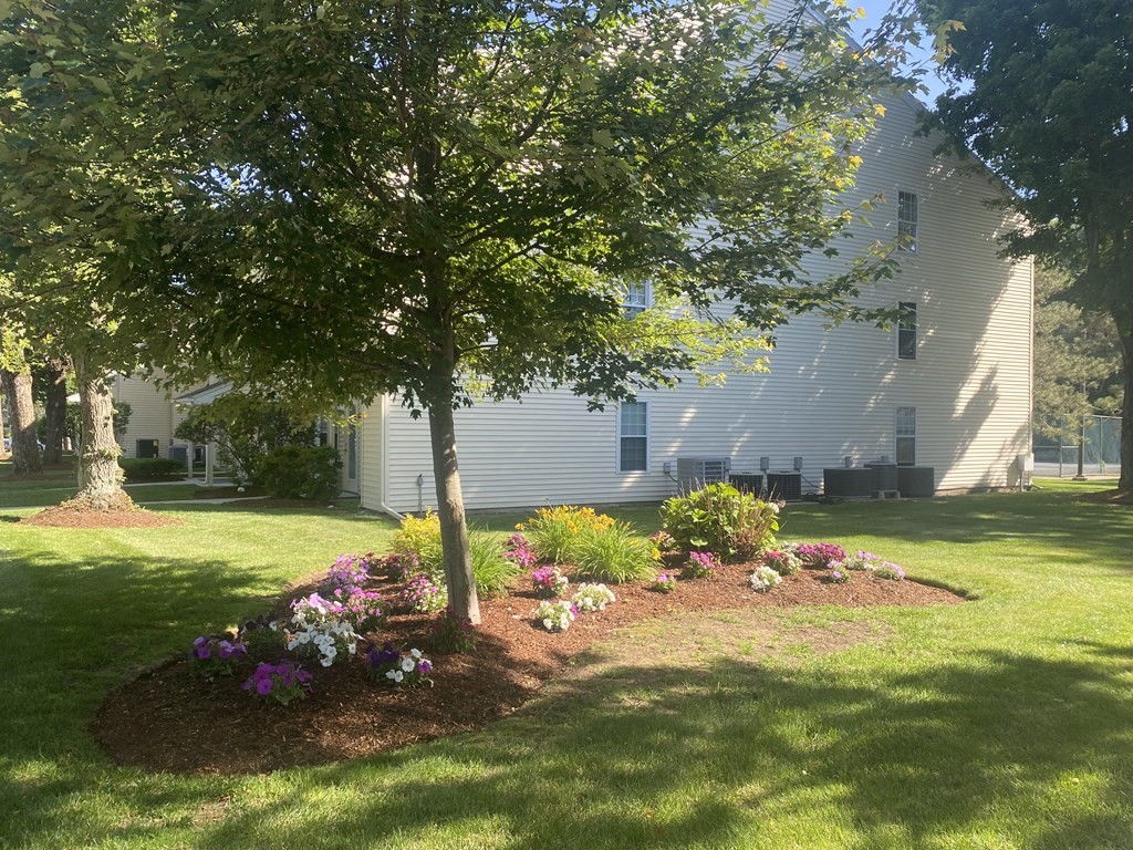 18 Walden Dr, Natick, Massachusetts, 1 Bedroom Bedrooms, 4 Rooms Rooms,1 BathroomBathrooms,Residential Lease,For Rent,Walden Dr,73383375