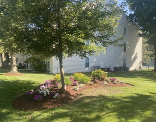 Residential Lease