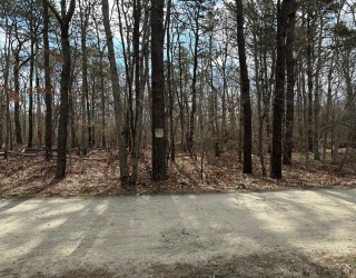 12 Old Campground Road, Harwich, Massachusetts, ,Land,For Sale,Old Campground Road,73383823