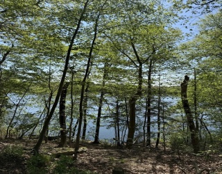 Land