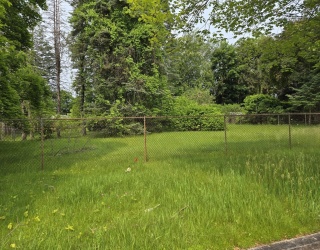 Lot 37 Kane Street, Springfield, Massachusetts, ,Land,For Sale,Kane Street,73385432