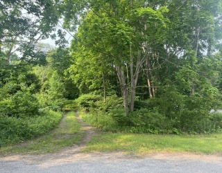 Land