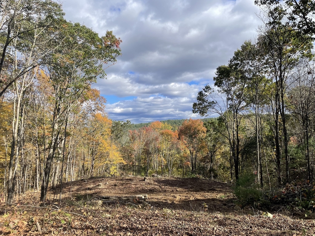 0 Lower Rd, Hardwick, Massachusetts, ,Land,For Sale,Lower Rd,73386166