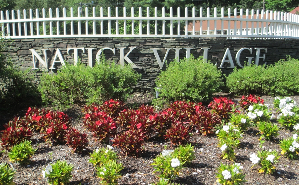 9 Village Way, Natick, Massachusetts, 1 Bedroom Bedrooms, 5 Rooms Rooms,1 BathroomBathrooms,Residential Lease,For Rent,Village Way,73386228