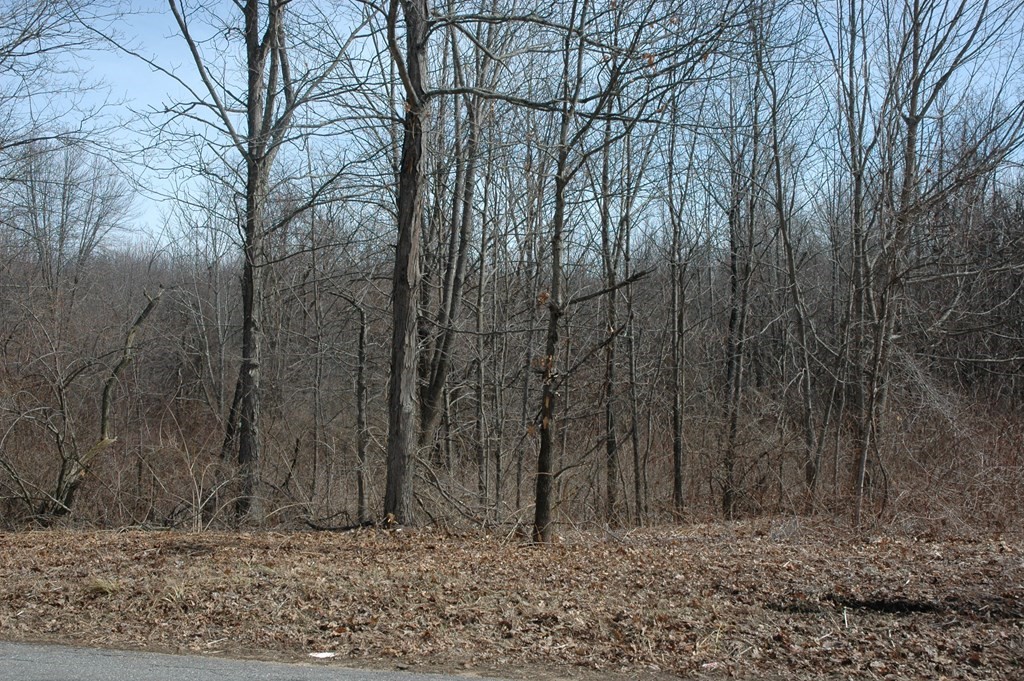 56 Old E Brookfield Rd, North Brookfield, Massachusetts, ,Land,For Sale,Old E Brookfield Rd,73030764