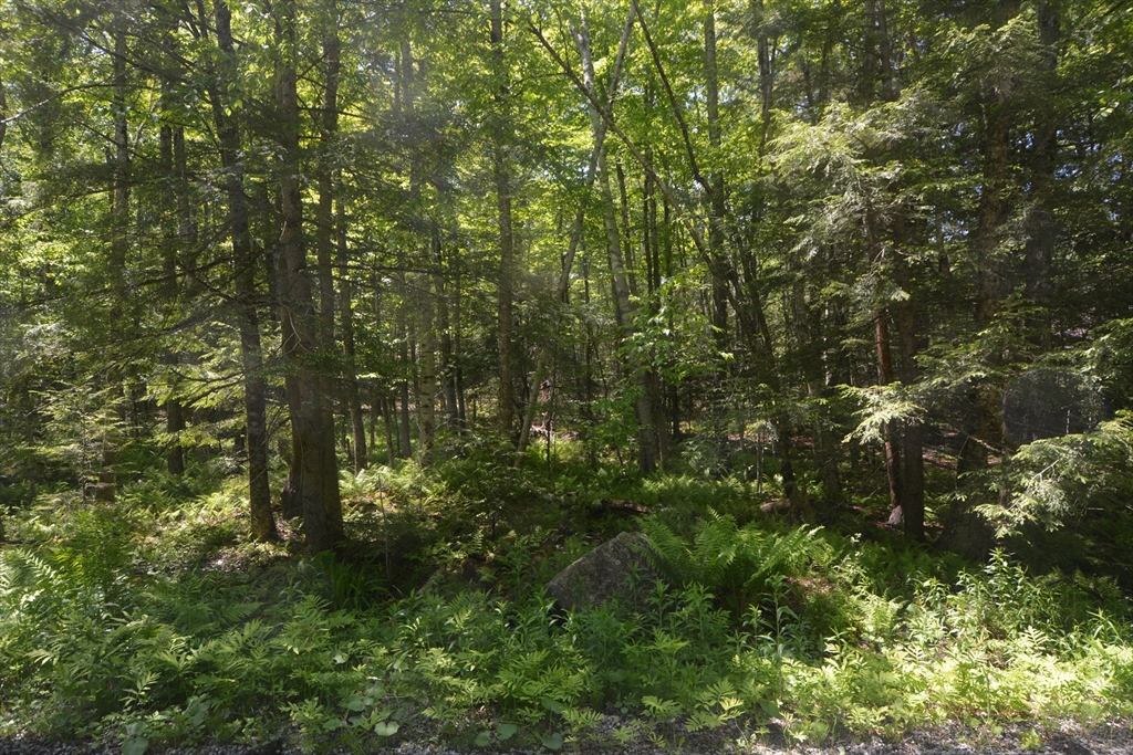 Lot 155 Chippewa Drive, Becket, Massachusetts, ,Land,For Sale,Chippewa Drive,73386931