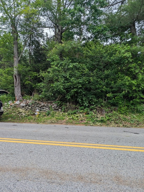 0 Lower Gore Rd, Webster, Massachusetts, ,Land,For Sale,Lower Gore Rd,73387389