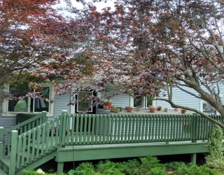 25 Cushing Ln, Lunenburg, Massachusetts, 3 Bedrooms Bedrooms, 7 Rooms Rooms,2 BathroomsBathrooms,Residential,For Sale,Cushing Ln,73387691