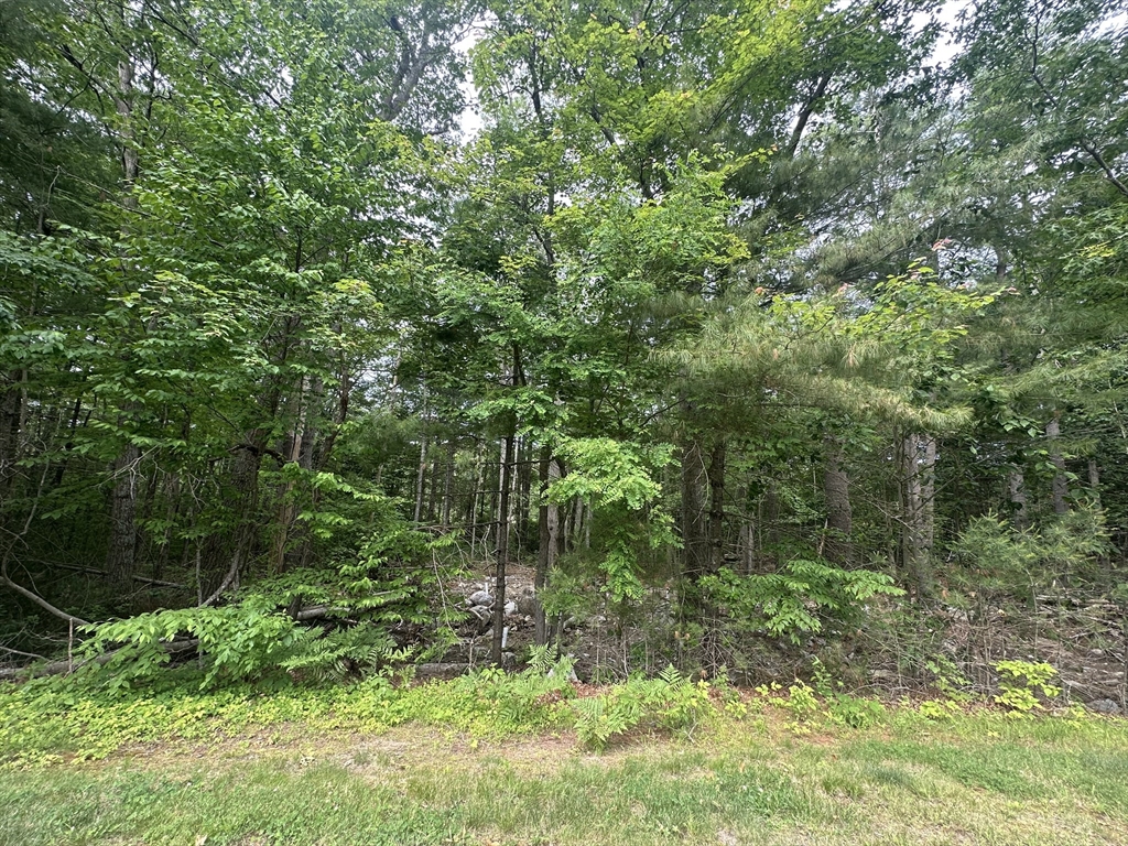 52 Round Farm Rd Lot 1, Rehoboth, Massachusetts, ,Land,For Sale,Round Farm Rd Lot 1,73388367