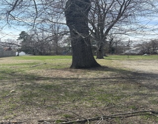 Land
