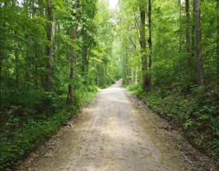 Land