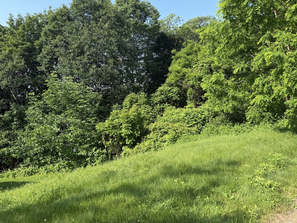 42 Rustic Dr Ext, Worcester, Massachusetts, ,Land,For Sale,Rustic Dr Ext,73389704
