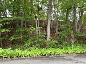 Lot 114 Bark Haul Rd, Longmeadow, Massachusetts, ,Land,For Sale,Bark Haul Rd,73390034