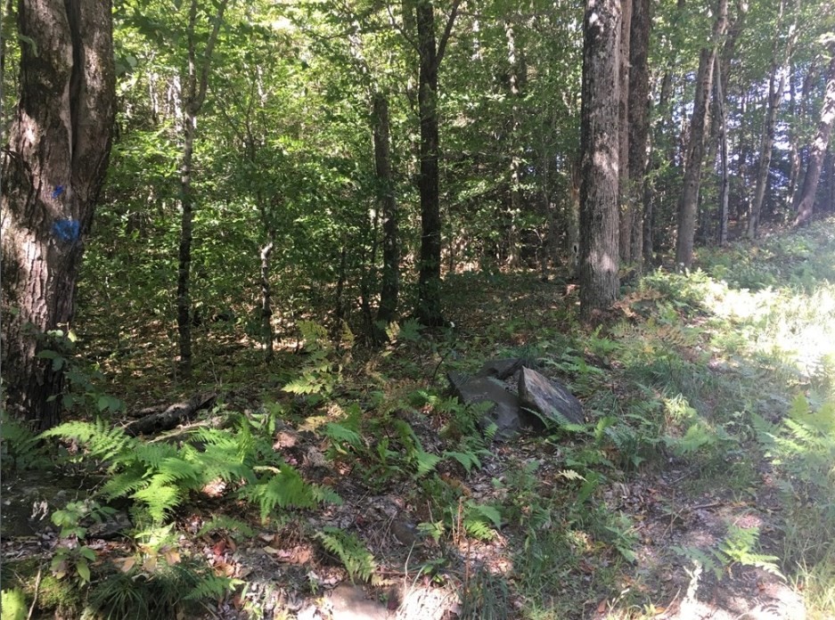 39 Bow St, Plainfield, Massachusetts, ,Land,For Sale,Bow St,73390404