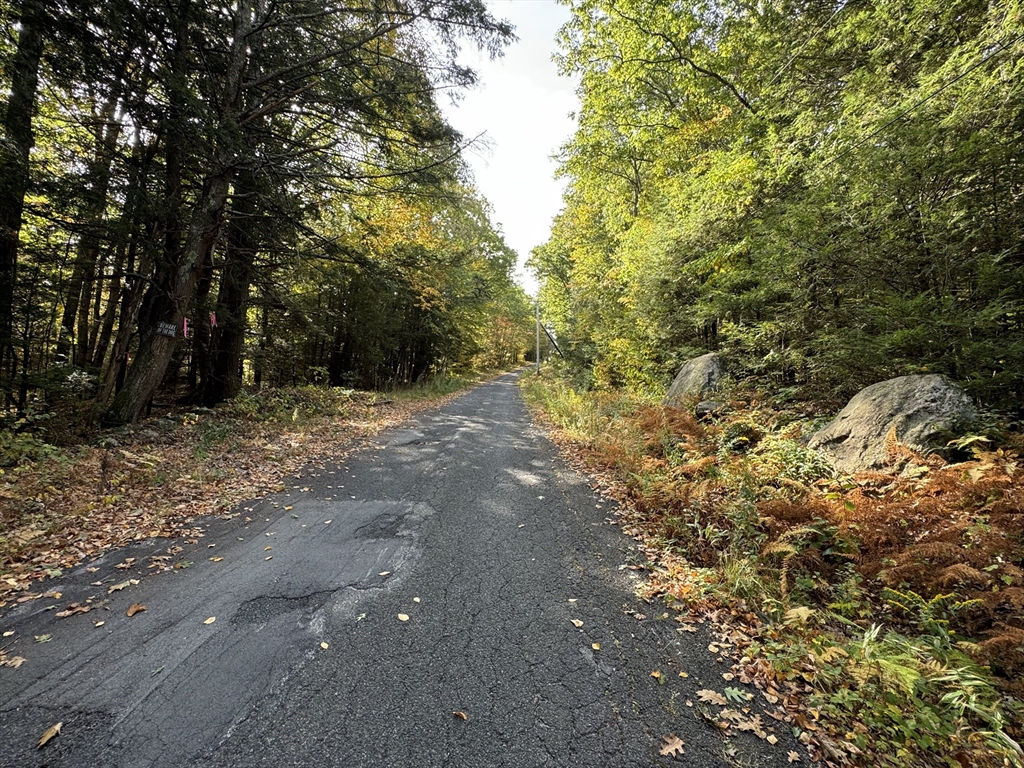 29, 31, 33 Ladd Rd, Sturbridge, Massachusetts, ,Land,For Sale,Ladd Rd,73390635