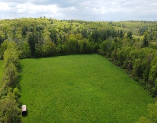 Land
