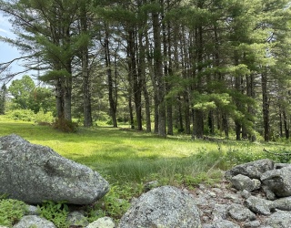 Land