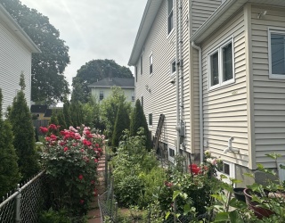 Residential Lease
