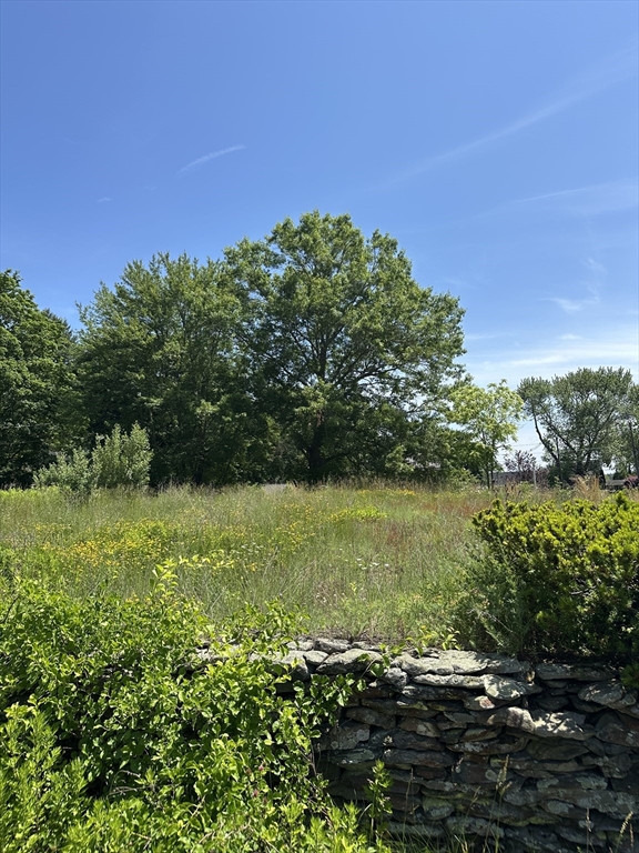 80 Phillips St, Hanson, Massachusetts, ,Land,For Sale,Phillips St,73392190