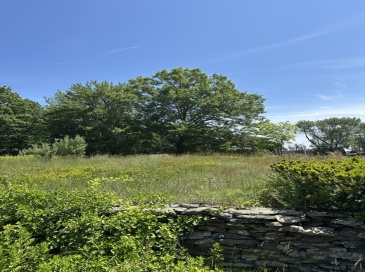 80 Phillips St, Hanson, Massachusetts, ,Land,For Sale,Phillips St,73392190