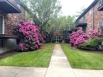 21 Westgate Rd, Boston, Massachusetts, 2 Bedrooms Bedrooms, 4 Rooms Rooms,1 BathroomBathrooms,Residential Lease,For Rent,Westgate Rd,73395168