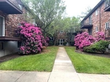 21 Westgate Rd, Boston, Massachusetts, 2 Bedrooms Bedrooms, 4 Rooms Rooms,1 BathroomBathrooms,Residential Lease,For Rent,Westgate Rd,73395168