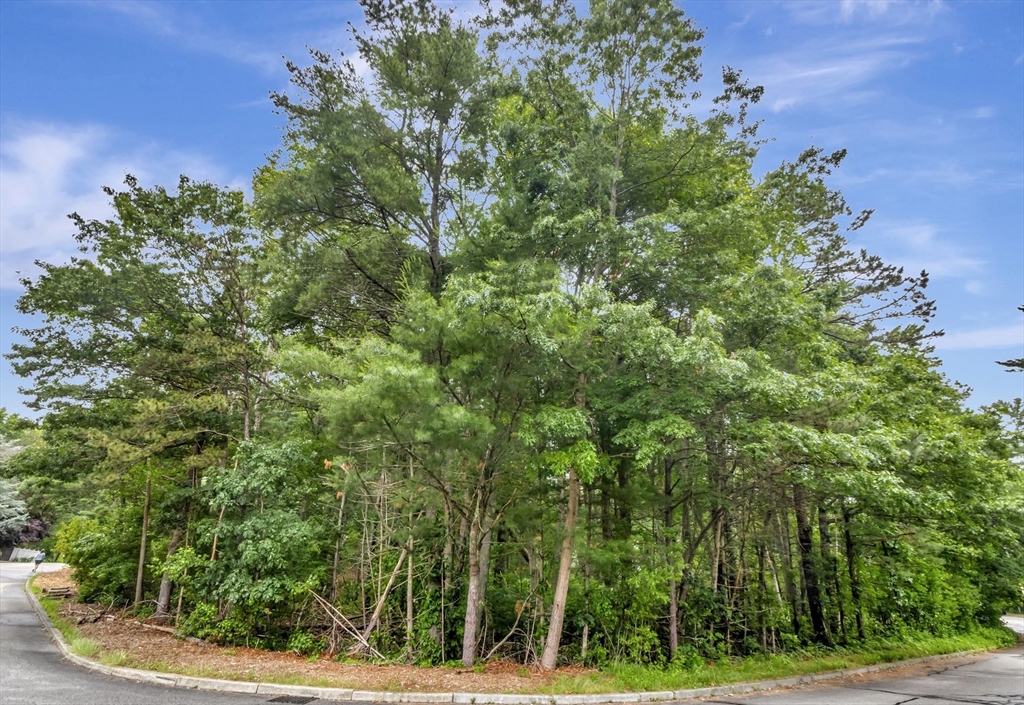 15 Randall Farm Drive, Easton, Massachusetts, ,Land,For Sale,Randall Farm Drive,73397861