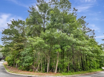 15 Randall Farm Drive, Easton, Massachusetts, ,Land,For Sale,Randall Farm Drive,73397861