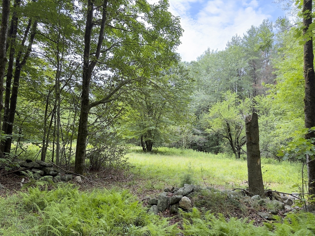 0 John Ford Road, Ashfield, Massachusetts, ,Land,For Sale,John Ford Road,73403156