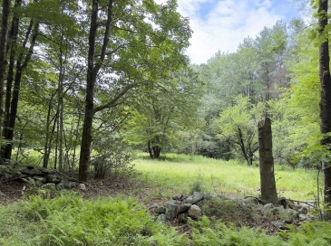 0 John Ford Road, Ashfield, Massachusetts, ,Land,For Sale,John Ford Road,73403156