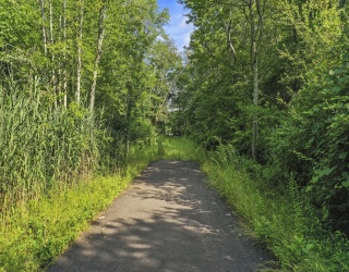 0 Middlesex St, Dartmouth, Massachusetts, ,Land,For Sale,Middlesex St,73403280