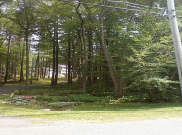 534 Ipswich Road, Boxford, Massachusetts, ,Land,For Sale,Ipswich Road,73403519