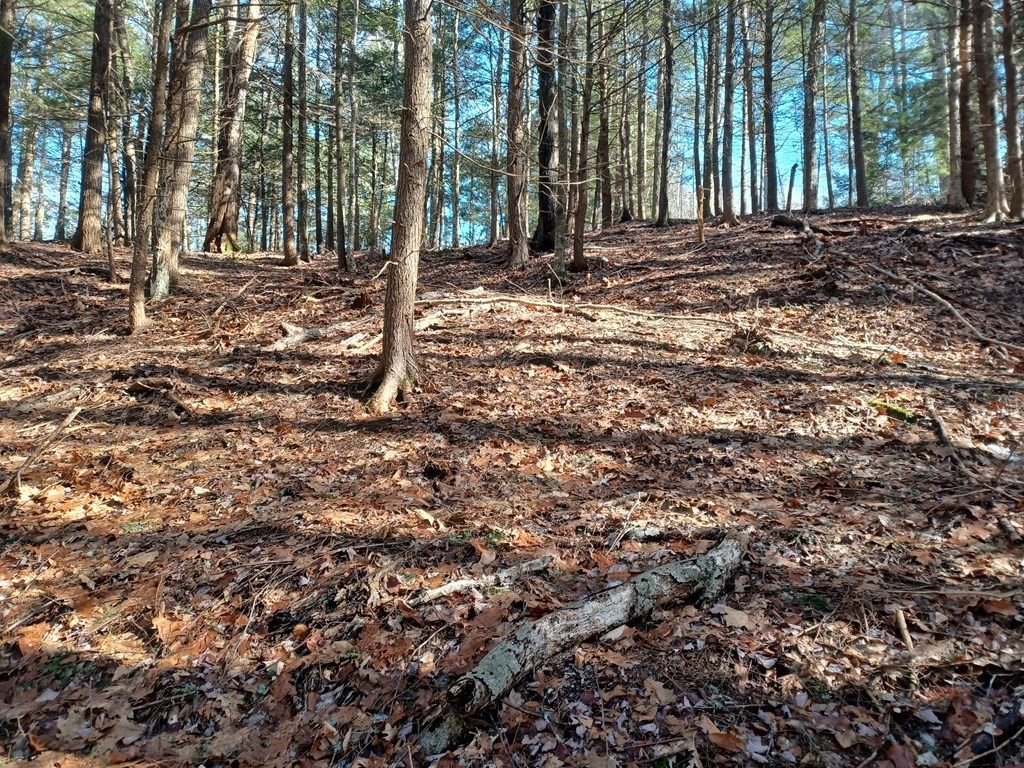 296 Northwest Road, Westhampton, Massachusetts, ,Land,For Sale,Northwest Road,73404516