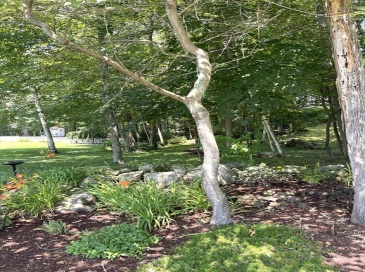 57 Babcock Tavern Rd, Ware, Massachusetts, ,Land,For Sale,Babcock Tavern Rd,73404732