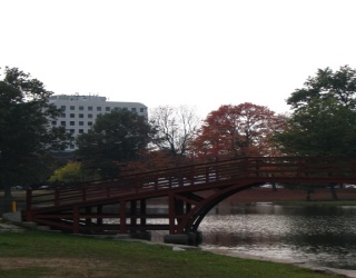 255 Park Ave, Worcester, Massachusetts, ,Commercial Lease,For Rent,Park Ave,73405100