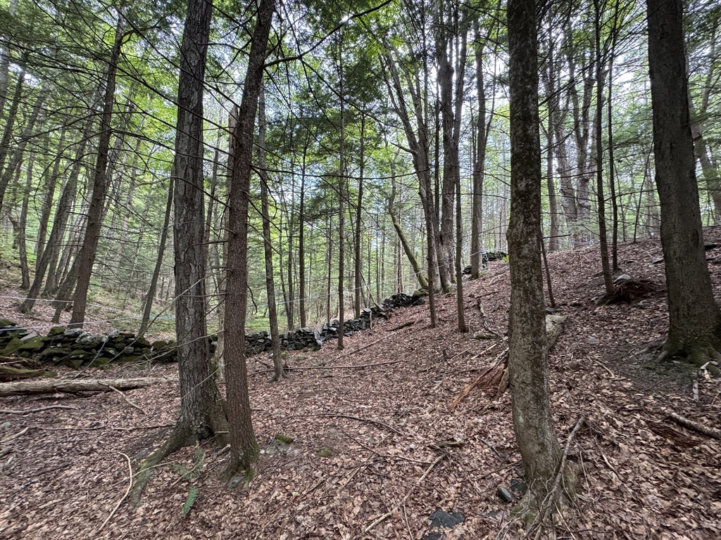 0 North Street, Whately, Massachusetts, ,Land,For Sale,North Street,73407299