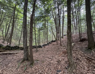 0 North Street, Whately, Massachusetts, ,Land,For Sale,North Street,73407299