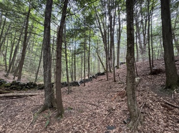 0 North Street, Whately, Massachusetts, ,Land,For Sale,North Street,73407299