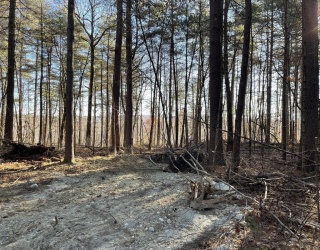 Lot 38A&29 Michael Sears, Belchertown, Massachusetts, ,Land,For Sale,Michael Sears,73326246