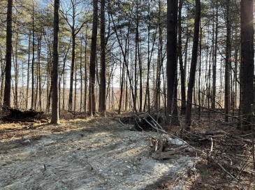 Lot 38A&29 Michael Sears, Belchertown, Massachusetts, ,Land,For Sale,Michael Sears,73326246