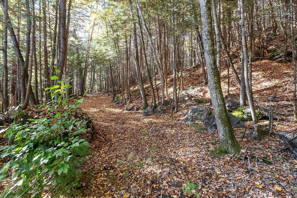 0 Orange Road, Warwick, Massachusetts, ,Land,For Sale,Orange Road,73303111