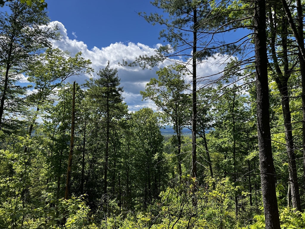 Lot 2 Hannabrooke Lane, Montague, Massachusetts, ,Land,For Sale,Hannabrooke Lane,73385148