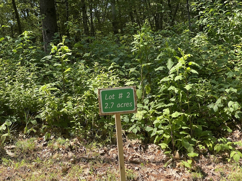 293 Warren Rd, Brimfield, Massachusetts, ,Land,For Sale,Warren Rd,73409814